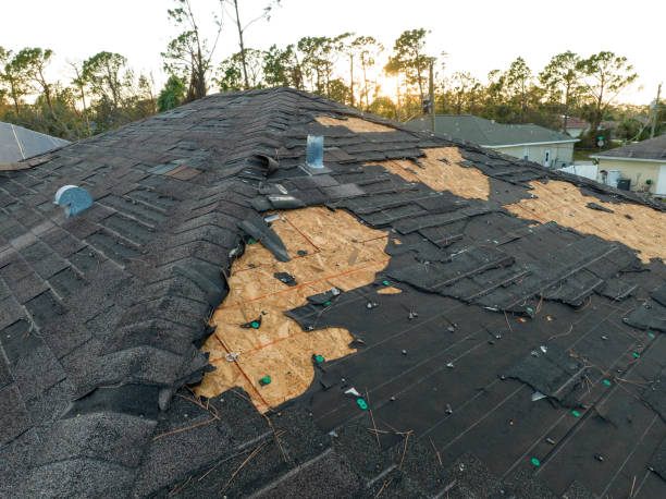 Best Green or Eco-Friendly Roofing Solutions  in Lamar, SC